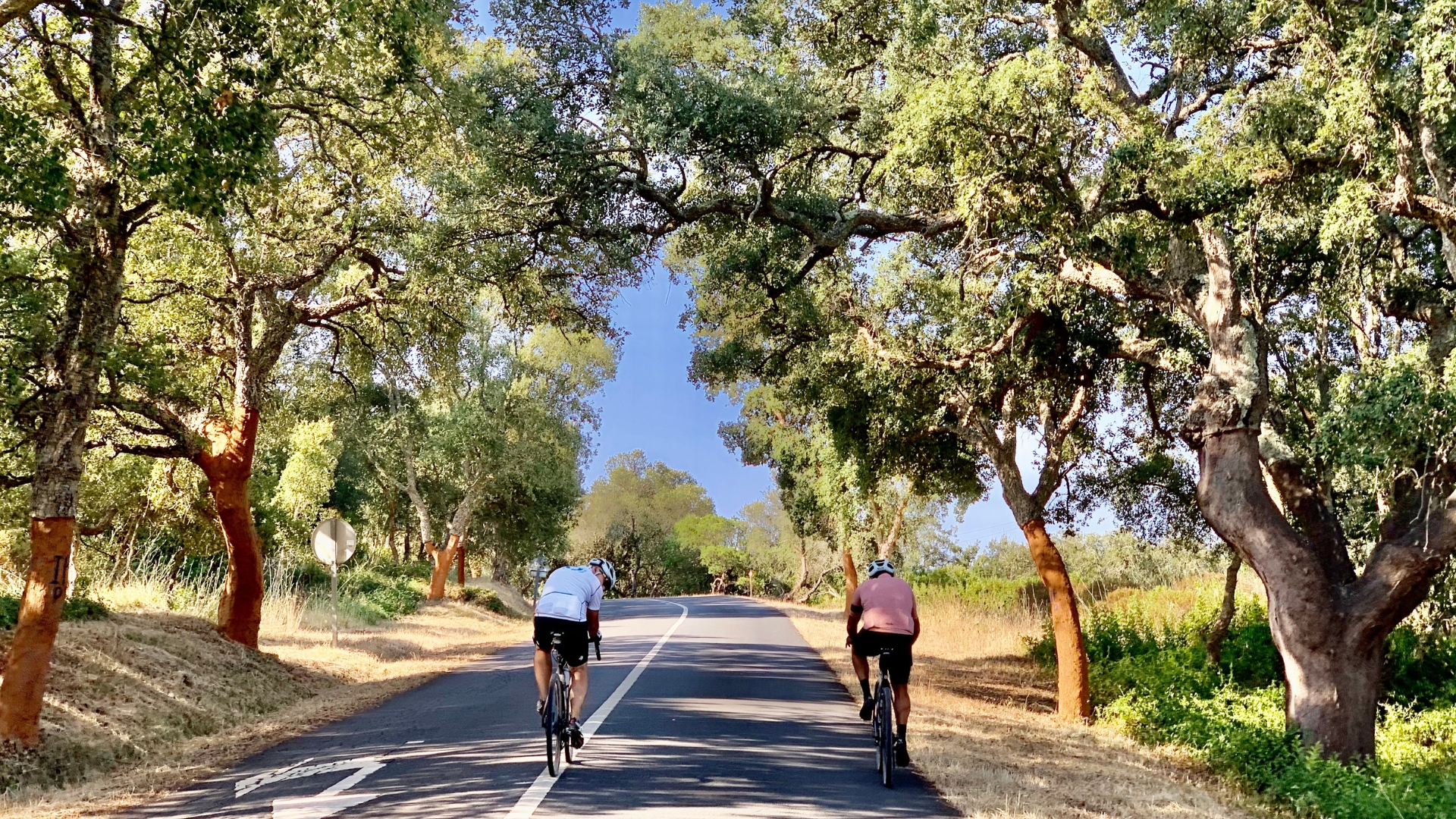 Portugal´s Wild Coast